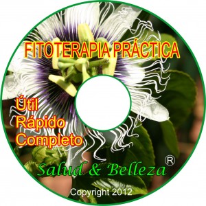 PRAKSIS CD fysioterapi