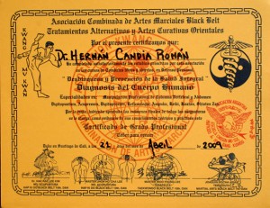 DIAGNOSIS DEL CUERPO, web