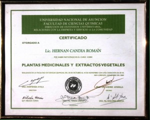 PLANTAS UNA P WEB