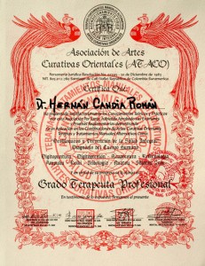TERAPEUTA PROFESIONAL, web